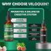 Viloquin Gut Cleanse Detox Liquid Natural Herbal Intestinal Support with Oil of Oregano Wormwood Black Walnut Clove Garlic 2 fl oz - Buy Online on GoSupps.com
