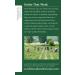 Organic Spearmint Herbal Tea - Naturally Caffeine Free | 16 Wrapped Bags - Traditional Medicinals - Buy Online on GoSupps.com