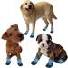 Ewolee Dog Boots - Breathable Non-Slip Protection for Dogs | 4-Piece Slippers (XXL Lake Blue) - Buy Online on GoSupps.com