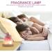 EXCEART Stone Lamp - Crystal Aroma Diffuser & Wax Tart Burner for Home | Scented Oil Warmer & Salt Rock Light in Purple Glass - Buy Online on GoSupps.com