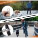 Buy Adjustable Bicycle Dog Leash - Safe Cycling Leash for Dogs Recordable Practice Line & Bike Bracket - Buy Online on GoSupps.com