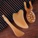 3Pc/Set Resin Guasha Board Acupuncture Stick Nose Lifting Massager Acupuncture Reflexology Tool Skin Anti-Wrinkle Beauty 3pcs - Buy Online on GoSupps.com