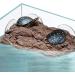 hisunfarm Turtle Floating Basking Platform Aquarium Decorations Decor Artificial Bark with Suction Cups for Tortoise Climbing Platform Resting Terrace Step (Rock Brown) - Buy Online on GoSupps.com