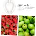VANZACK Fruit Shaping 4pcs Heart Transparent Fruit Garden Strawberry Forming Jujube Major Melon - Buy Online on GoSupps.com