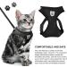 Buy Nizirioo Cat Harness & 2 Safe Cat Dishes - Stylish Black Set for Small Medium Pets - Buy Online on GoSupps.com