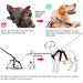 Buy Heele Reflective Dog Dishes - XL Red Breakout & Panic Crockery with Robust Handle | International Shipping - Buy Online on GoSupps.com