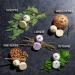 Father's Day Essential Oil Shower Steamers & Bath Bombs Set - 11pc Aromatherapy Relaxation Gift with Lavender, Peppermint, Vanilla, Coconut, Eucalyptus, and Honey Almond Scents - Perfect Gift for Women - Buy Online on GoSupps.com