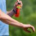 Ben's 30 Insect Repellent Spray 6 oz (Pack of 2) - Ultimate Protection for Outdoor Activities - Buy Online on GoSupps.com