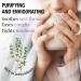 ORIGEENS THYME TEA ORGANIC Origin France 100g | Organic Dried Thyme Leaves for Cough tea and Cooking | Organic Thyme Dried - Buy Online on GoSupps.com