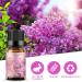 Sedbuwza Lilac Essential Oil - Fragrance for Diffuser, Humidifier, Soap, Candle, Perfume - 10ML (0.33 Fl Oz) - Buy Online on GoSupps.com