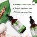 Rosemary Oil for Hair Growth - 100% Pure Organic 60ml | Nourish Scalp & Boost Hair - Eyebrow & Eyelash Care - Buy Online on GoSupps.com