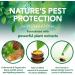Vet's Best Cat Flea & Tick Spot-On | Natural Treatment & Prevention | 4 Applications - Buy Online on GoSupps.com