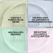 Pure Cosmetics Refine + Perfect Color Corrector Setting Powder - 4 Shade Matte Finishing Powders for Smooth & Brightened Skin - Cruelty-Free & Talc-Free - Buy Online on GoSupps.com