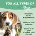 Disane Natural Anti-Parasite Pipettes for Dogs | 4 Units | 4 Months Flea Tick & Mosquito Protection | Non-Toxic & Safe for Pets - Buy Online on GoSupps.com