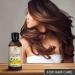 St. John's Wort Oil 250ml - Pure Natural Carrier Oil for Skin & Body Care - Cosmetic Essential Oil - Buy Online on GoSupps.com