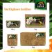 Buy Terra Exotica Sphagnum Moss (3x1 Kg) - Premium Peat Moss for Garden Houseplants & Terrariums - International Shipping Available - Buy Online on GoSupps.com