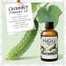 HIQILI 100ML Clary Sage Essential Oil & 30ML Cucumber Fragrance Oil for DIY Diffuser - Buy Online on GoSupps.com