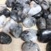 Natural Magic Natural Gemstone Black Tourmaline Tumbled Crystals Stone for Decoration Stone Mineral Specimen