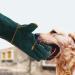 Jomewory Bite-Proof Gloves for Dogs & Cats - Water-Repellent Scratch-Resistant 60cm Protective Gloves for All Pets - Buy Online on GoSupps.com