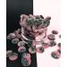 PANDY Strawberry Liquorice Gummy Candies - Low Sugar & Calorie Classic Treat | 50g Bag - Buy Online on GoSupps.com