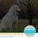 Heele Reflective Dog Collar for Small Dogs - Soft Neoprene Padded Nylon Sky Blue XS (20-30 cm) - Ideal for Puppies - 1 Pack - Buy Online on GoSupps.com