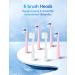 BAFOVY Sonic Electric Toothbrush for Adults - 48000 VPM Deep Cleaning with Magnetic Wireless Charger - 6 Brush Heads, 3 Modes & Smart Timer - Pale Pink - Buy Online on GoSupps.com