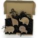 PLT 4-Piece Animal Handle Set - Untreated Walnut Knobs for Children's Furniture | Cute Elephant Lion Hippo Giraffe Designs | Perfect Gift Idea - Buy Online on GoSupps.com