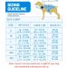 Pecute Dog Cooling Vest XL Blue - Summer Cooling Coat for Dogs, Sun Protection, 5-Layer Evaporation Cooling, Breathable Mesh, Adjustable Straps - Buy Online on GoSupps.com