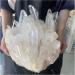Crystal Rough Natural Crystal Rough Natural Rare White Quartz Crystal Cluster Specimen Decoration (Size : 450-500g) - Buy Online on GoSupps.com