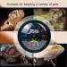 Buy Roseflower 2 Series-Pack Reptile Thermometer Hygrometer - Accurate Temperature & Humidity Meter for Terrariums Home & Office | No Battery Required - Buy Online on GoSupps.com