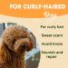 DISANE Natural Dog Conditioner Shampoo for Curly-Haired Dogs with Avocado Oil 250ml | Nourishing & Repairing Coat, Prevents Frizz, Enhances Curls - Buy Online on GoSupps.com