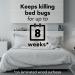 Raid Max Bed Bug Crack & Crevice Foaming Spray - 17.5 oz | Extended 8-Week Protection on Laminated Surfaces - Buy Online on GoSupps.com