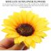 Zerodeko Kitchen Vase Fillers 40 Pcs Simulated Sunflower Decorations Letter Silk Cloth Floral Stickers As Shownx4pcs 10X10X2CMx4pcs - Buy Online on GoSupps.com