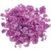 Barry M Black Cherry Exfoliating Lip Scrub Treatment 14g - Pack of 1 - Buy Online on GoSupps.com