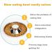 Yudansi Stainless Steel Puppy Weaning Bowls - Set of 2 | Food and Water Feeder Bowls for Multiple Puppies and Cats | Ideal for Small, Medium, Large Dogs - 10.2in - Buy Online on GoSupps.com