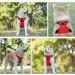 Buy Eyin Adjustable Dog Harness for Large Dogs - Breathable Reflective Padded with Handle for Training (Red L) - Neck 42-60cm Breast 47-86cm - Buy Online on GoSupps.com