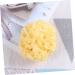 FOMIYES 1pc Sponge for Bathing Bath Sponge Body Sponge Sea Sponge for Bathing Natural Sponge Seaweed Sponge Honeycomb Bath Ball Algae Sponge Greek Natural Seaweed Sponge - Buy Online on GoSupps.com