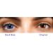 Buy Blue Crazy Colored Contact Lenses - Annual Anime Soft Lenses for Cosplay Carnival & Halloween | 2 Pieces + Containers - Buy Online on GoSupps.com