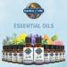 Garden of Life Peppermint Essential Oil - 100% Organic, Undiluted, 15 mL for Diffuser & Aromatherapy - Buy Online on GoSupps.com