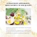 EUQEE Myrrh Essential Oil 10ml - Pure & Natural Aromatherapy Oil for Diffusers and Candle Making - Buy Online on GoSupps.com