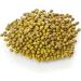 Old India Mung Beans Medium 750g - Buy Online on GoSupps.com