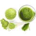 Buy Organic Curly Superfood Wheat Grass Powder 500g - 100% Natural Clean and Lab-Tested - Raw Food Quality No Additives German Quality - Buy Online on GoSupps.com