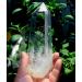 Natural Crystal Rough 300-400g Large Clear Lemurian Seed Quartz Natural Point Cluster Crystal Rough yuebang - Buy Online on GoSupps.com