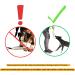 Dingo Gear Training Toy Ball - 9cm Black & Orange with 65cm Handle | French Nylcott for IGP Obedience Training | Small Ball - S02814 - Buy Online on GoSupps.com