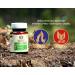 Maharishi Ayurveda Neem Powder - High Dose Vegetarian Vegan 60 Tablets | Organic Neem Tree Supplement - Buy Online on GoSupps.com