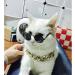 Stock Show Funny Cute Dog Cat Sunglasses - Retro Fashion Eyewear for Pet Photos - Black - Buy Online on GoSupps.com