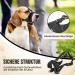 Adjustable Reflective Nylon Muzzle for Large Dogs - Prevent Biting Barking & Chewing | Eyin Muzzle (Black L) - Buy Online on GoSupps.com