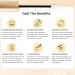 Forever Brow Eyebrow Growth Serum Multi Pack - 3-Pack for Bushy, Thick & Full Brows - Clean Plant-Based Formula with Castor Seed Oil & Apple Stem Cell - 0.27 Fl Oz (Pack of 3) - Buy Online on GoSupps.com