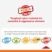 Nylabone Power Chew Flavor Frenzy Durable Dog Chew Toys Twin Pack - Funnel Cake & Shish Kabob - Large/Giant - Beef Jerky X-Large/Souper - 3 Count - Buy Online on GoSupps.com