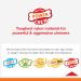 Durable Nylabone Dura Chew Beef Jerky - Power Chew Bones for Heavy Chewers | Medium for Dogs up to 16 kg - Multi-Colored - Buy Online on GoSupps.com